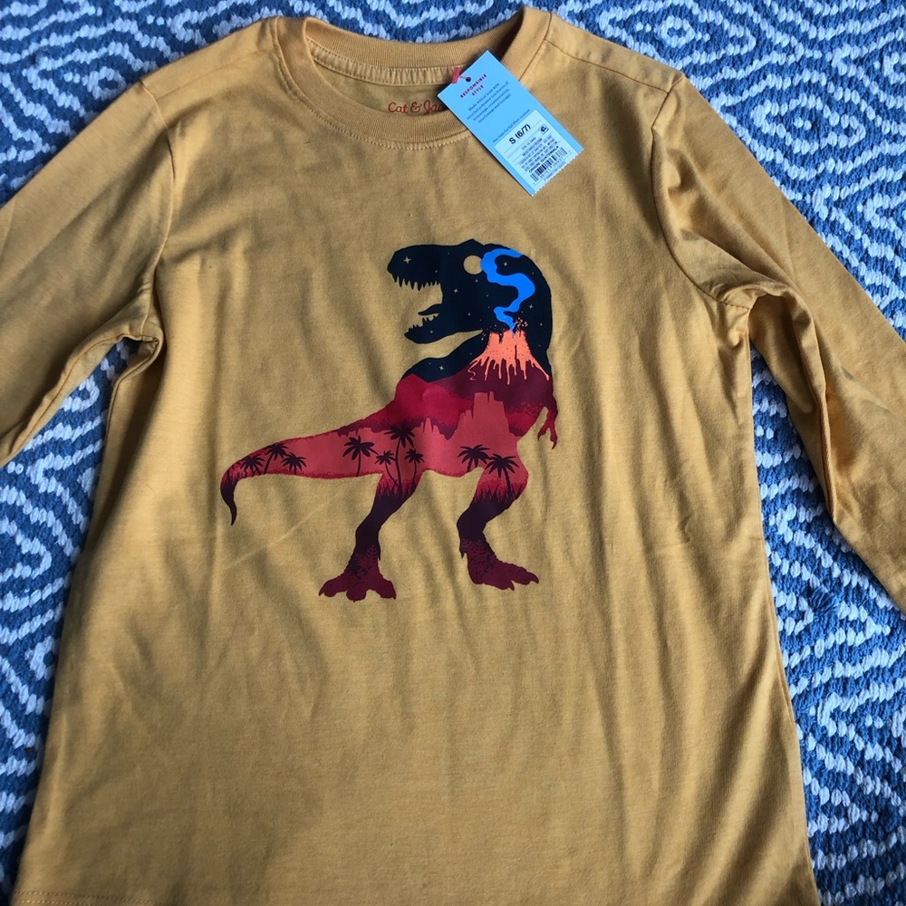 3 Boys Dinosaur Long Sleeve T-shirts, Size 6-7